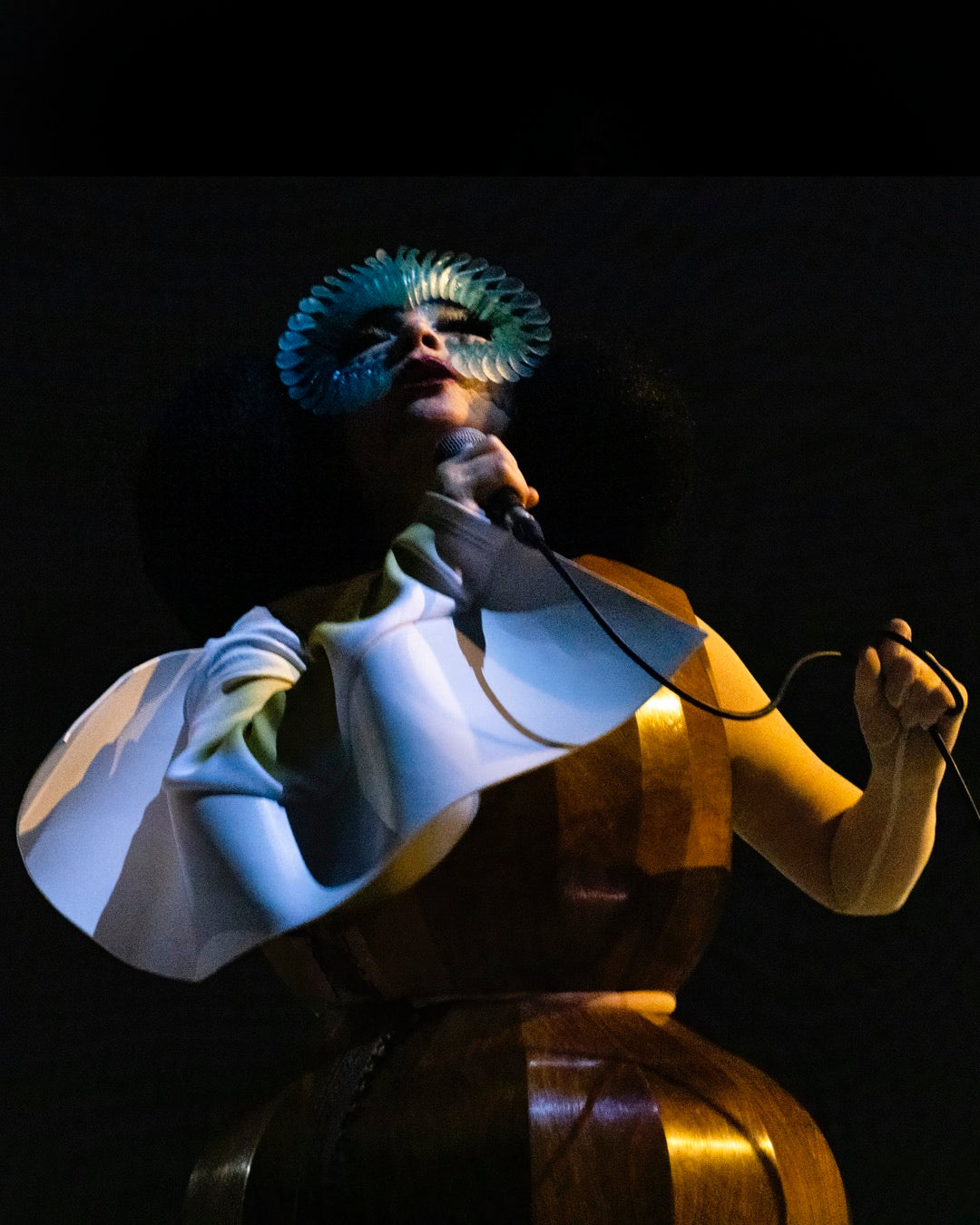 Björk – OLI Records