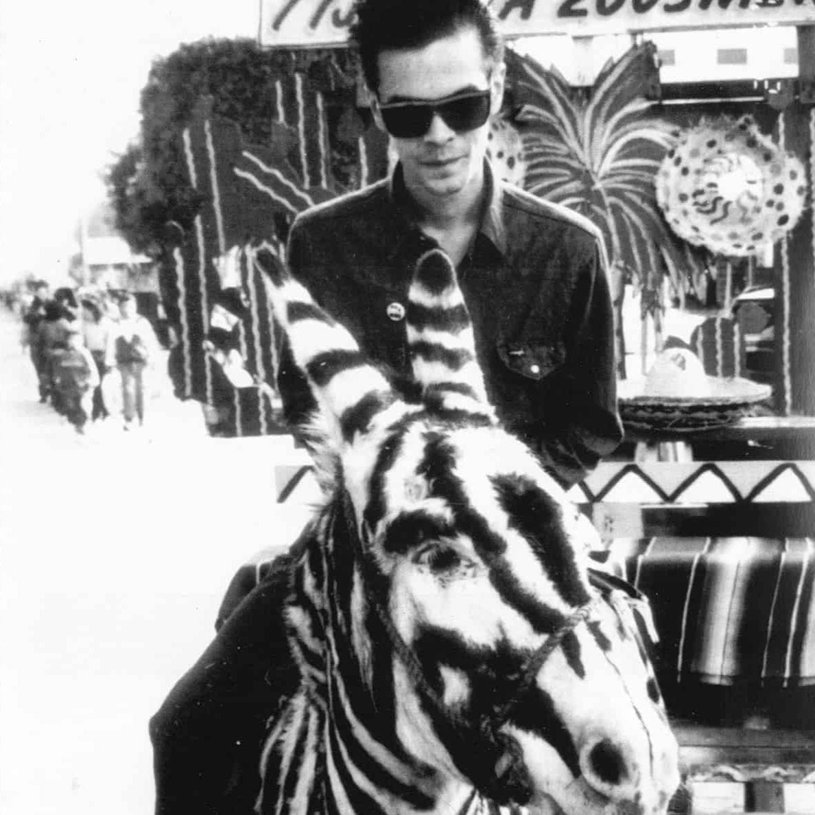 Dan Sartain - Dan Sartain V.S The Serpientes