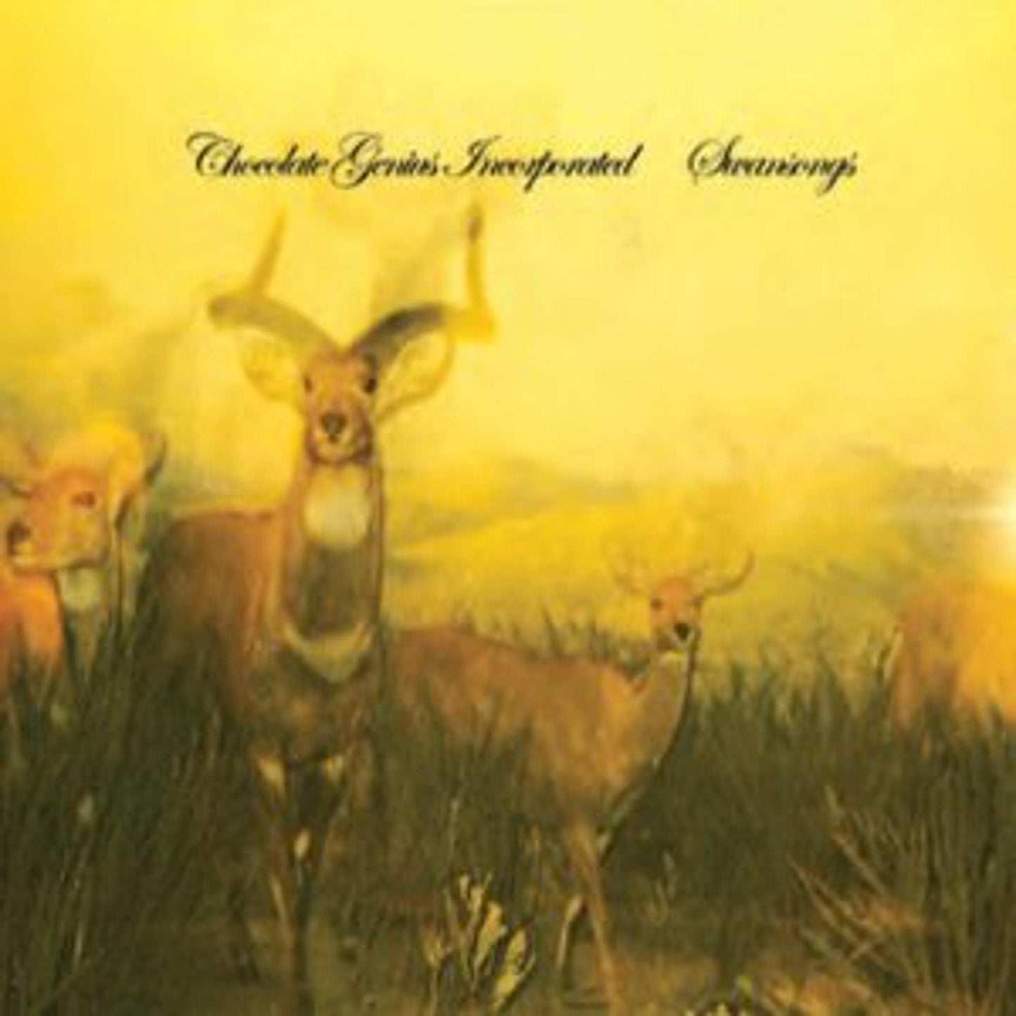 Chocolate Genius Incorporated* - Swansongs