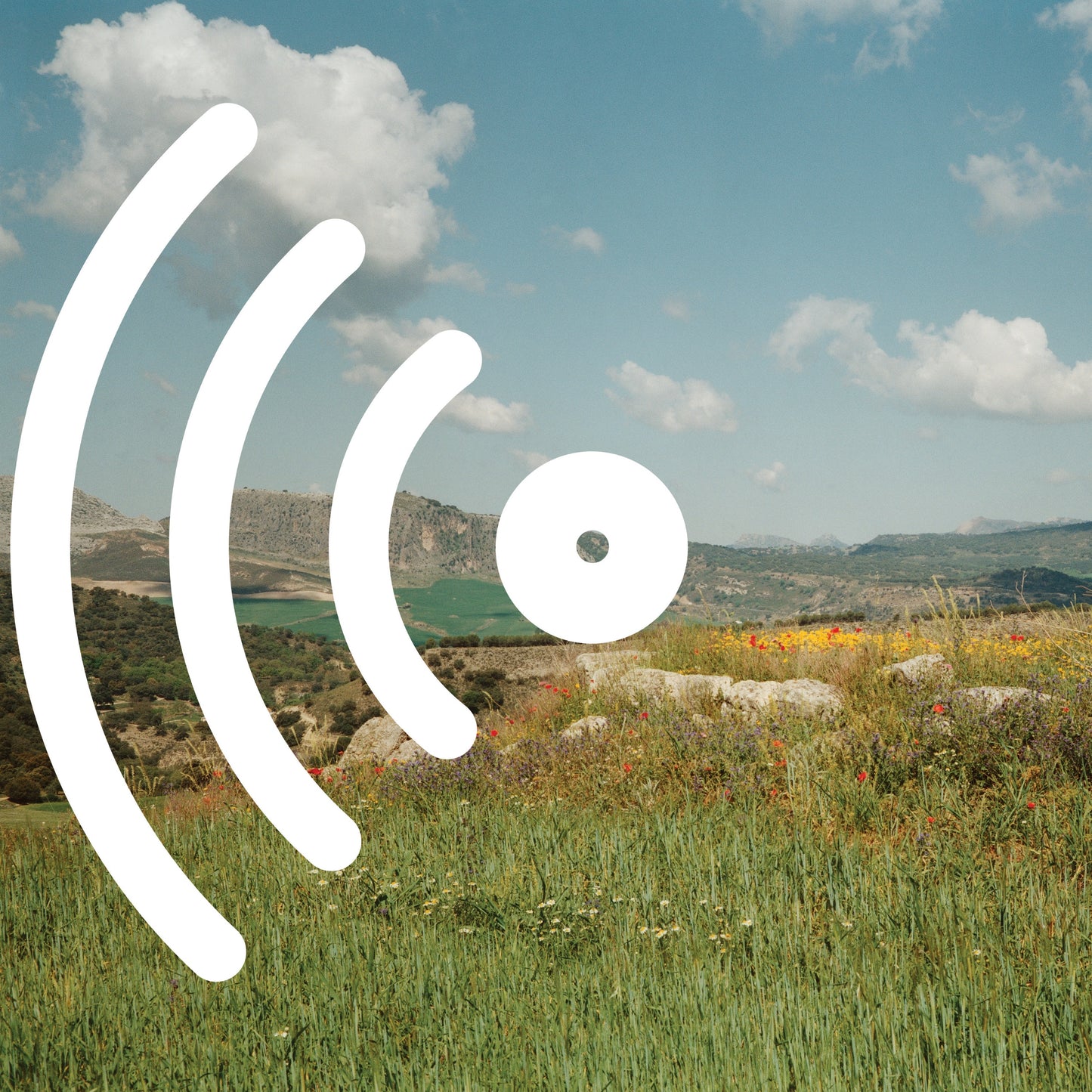 Disco Inferno - D.I. Go Pop