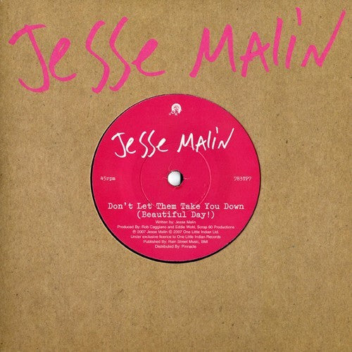 Jesse Malin - Don't Let Them Take You Down (Beautiful Day!)