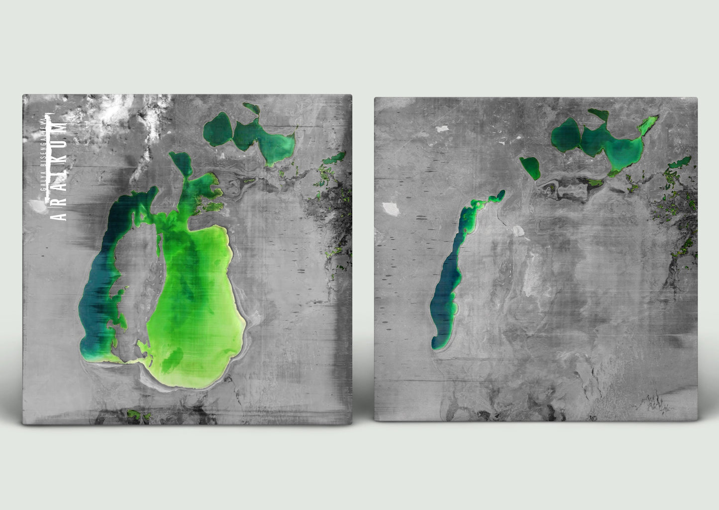 Galya Bisengalieva - Aralkum