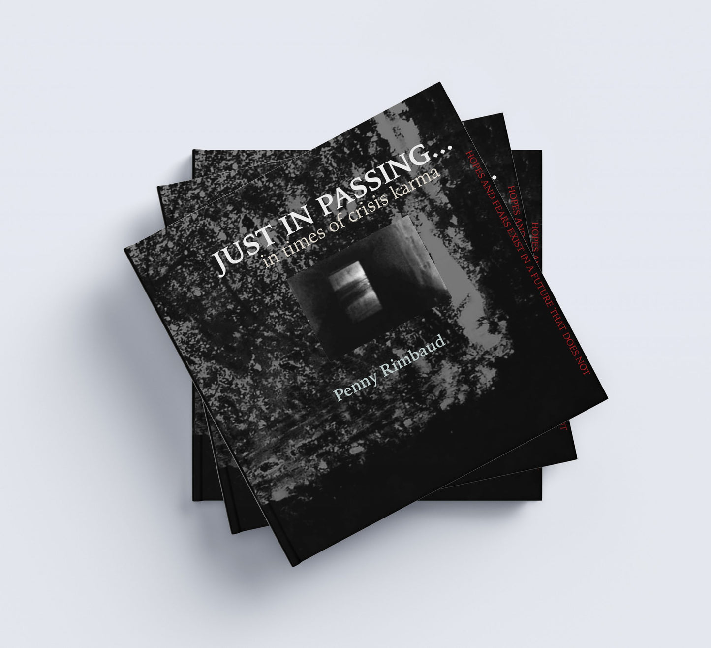 Penny Rimbaud - Just In Passing - Book