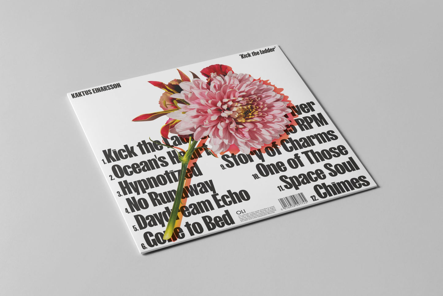 Kaktus Einarsson - Kick The Ladder