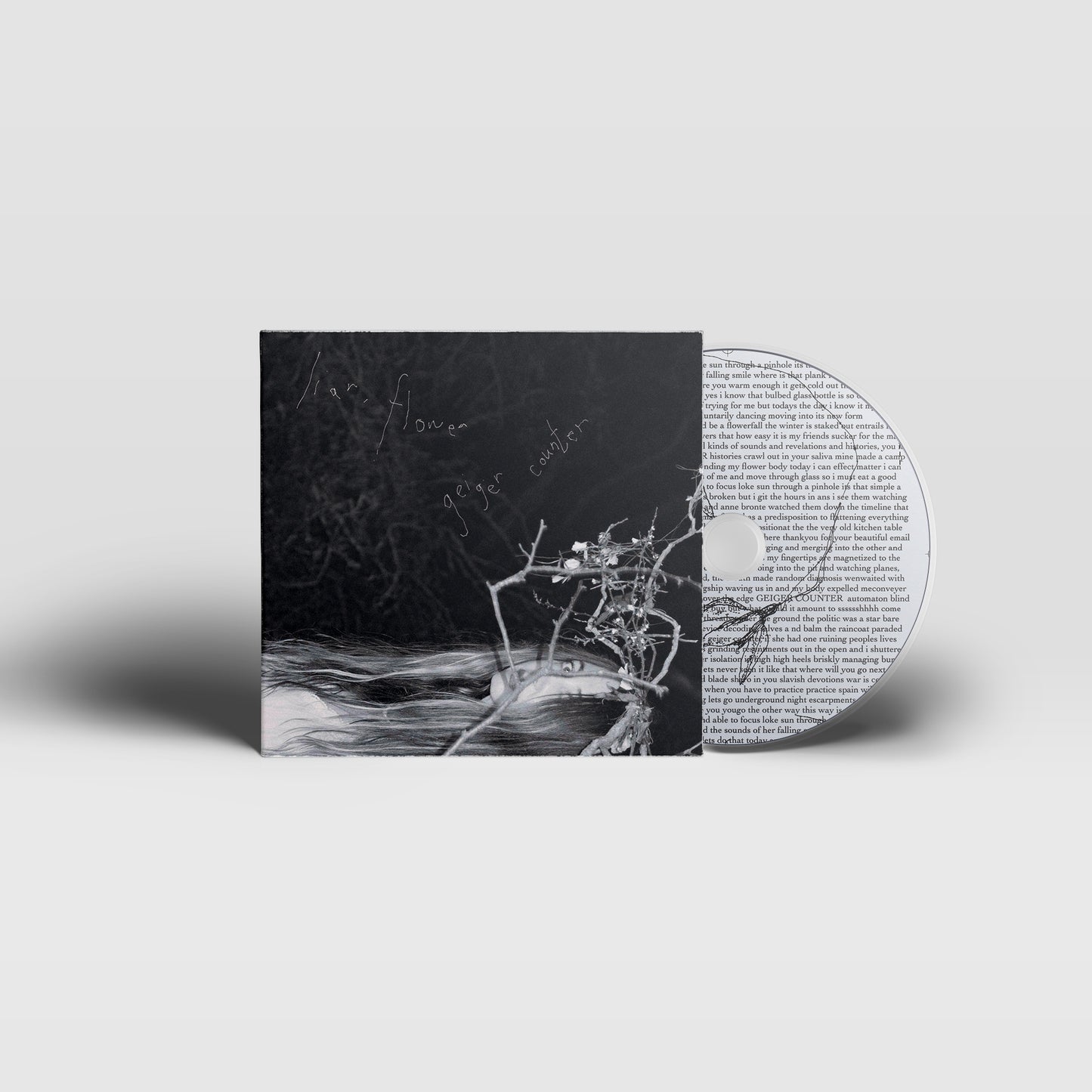 Liar, Flower - Geiger Counter (KatieJane Garside)