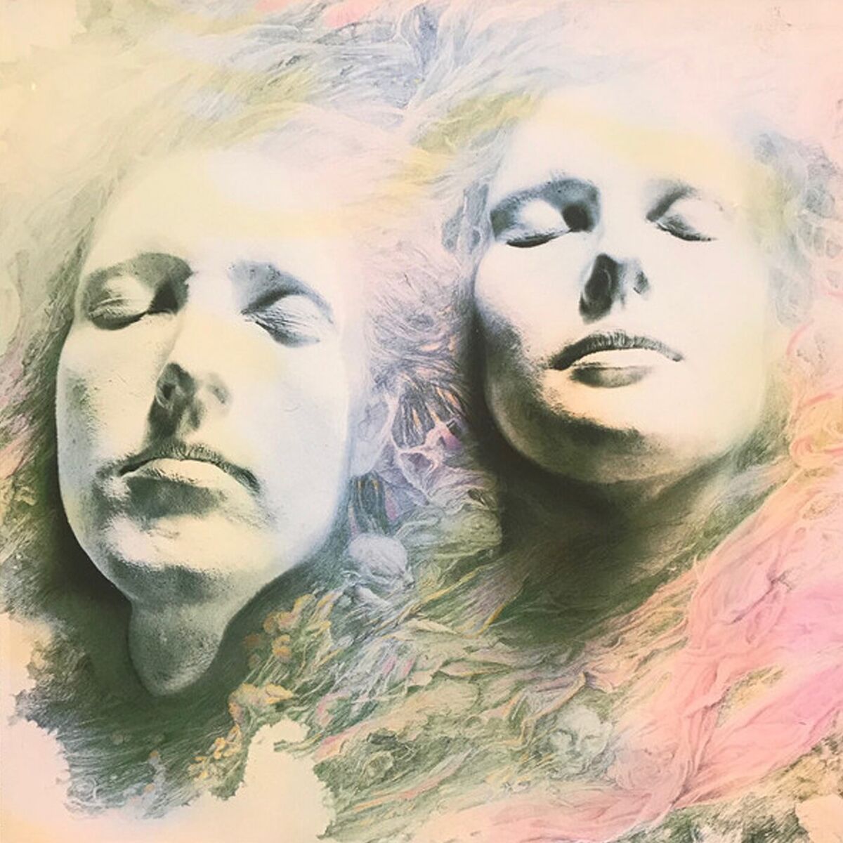 Shelleyan Orphan - Helleborine