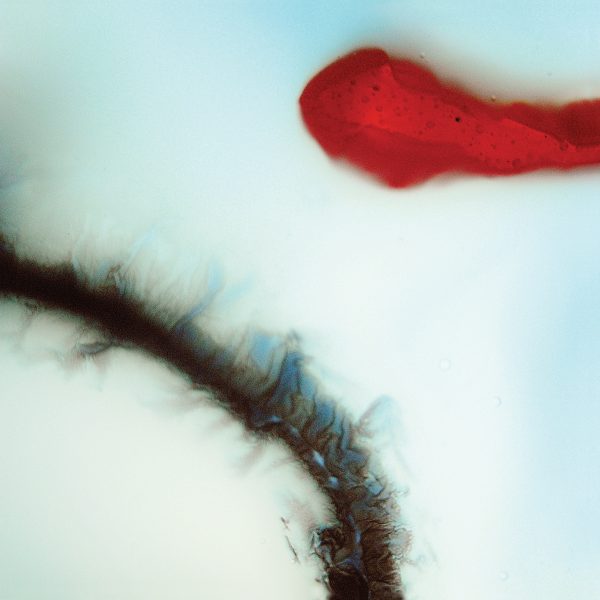 Stubborn Heart - Stubborn Heart