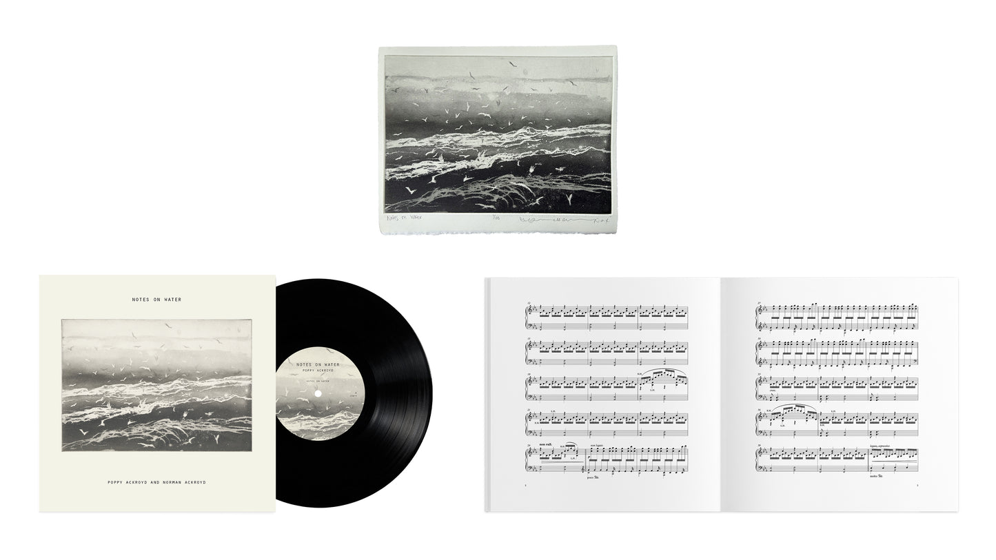 Poppy Ackroyd - Notes On Water