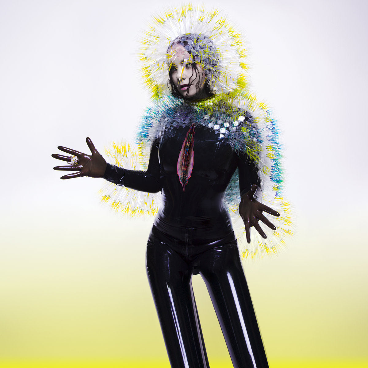 Björk - Vulnicura – OLI Records
