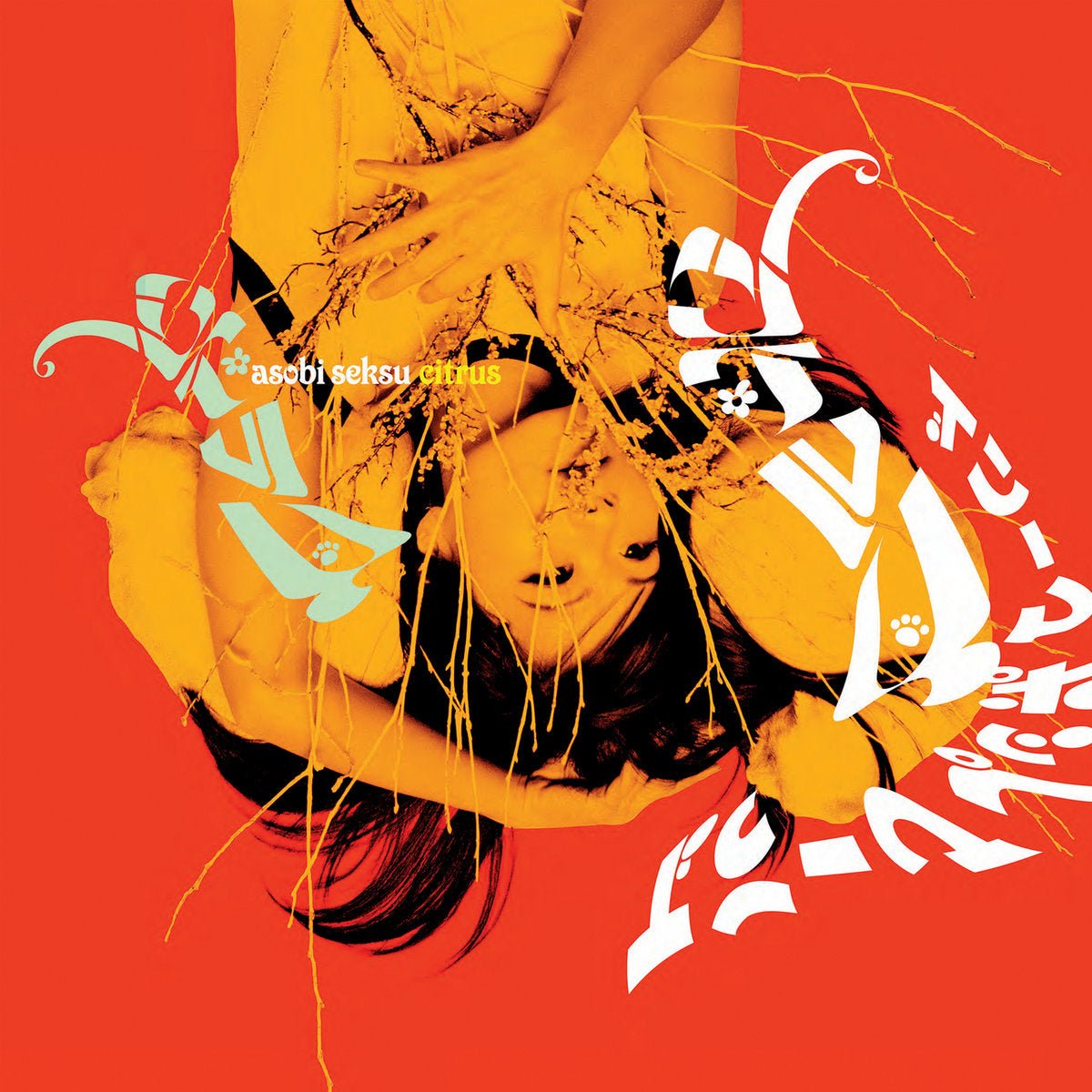 新品未開封 J-POPヒットパレード groovy sexy & ecstasy Asobi Seksu - Citrus – OLI Records