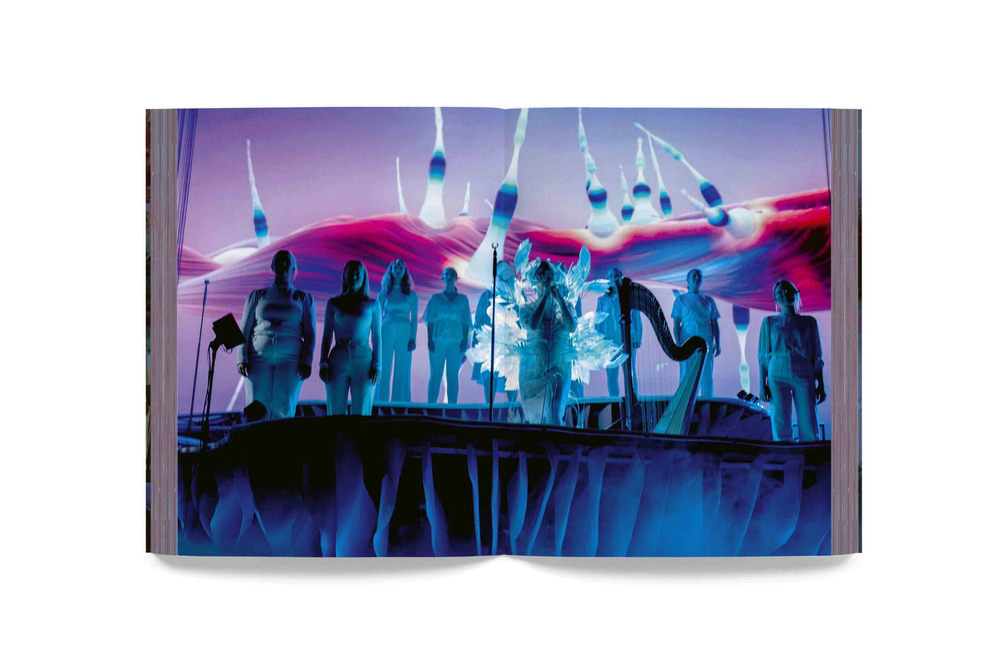 Björk - Cornucopia Book