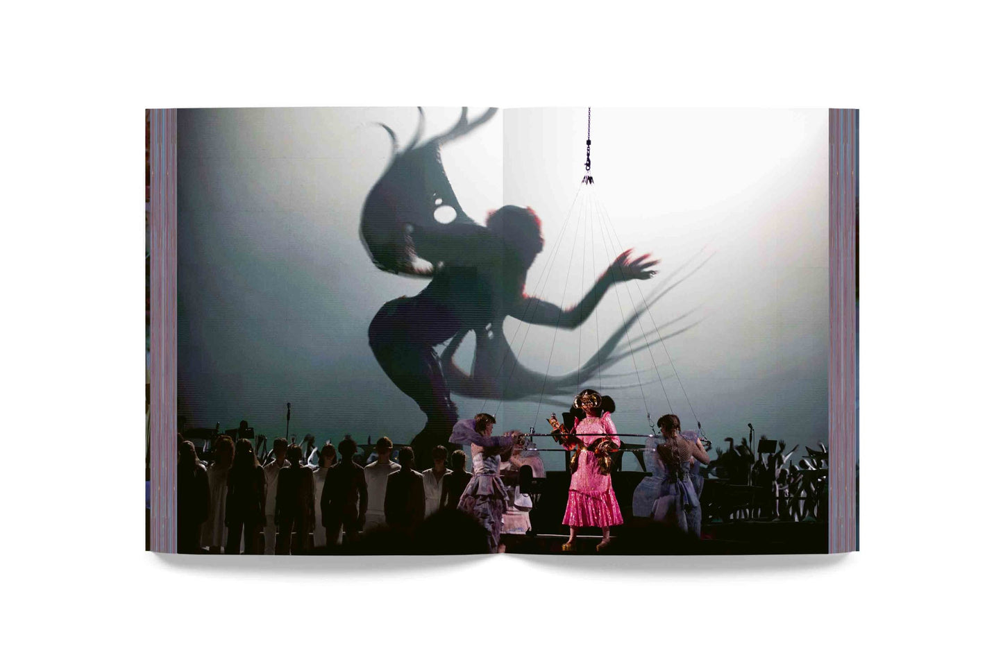 Björk - Cornucopia Book