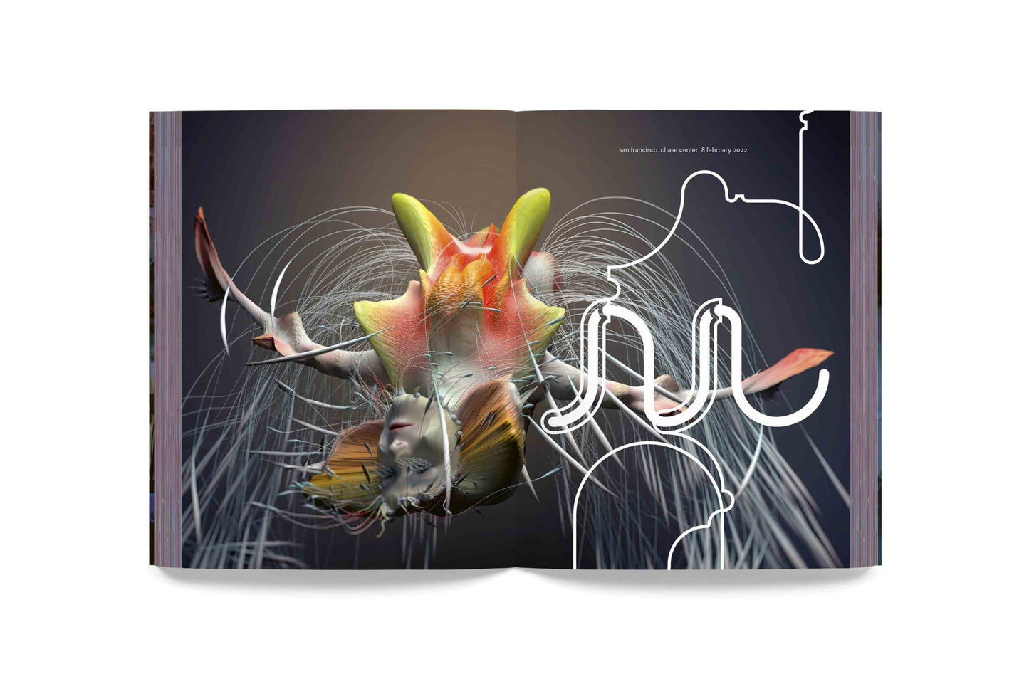 Björk - Cornucopia Book