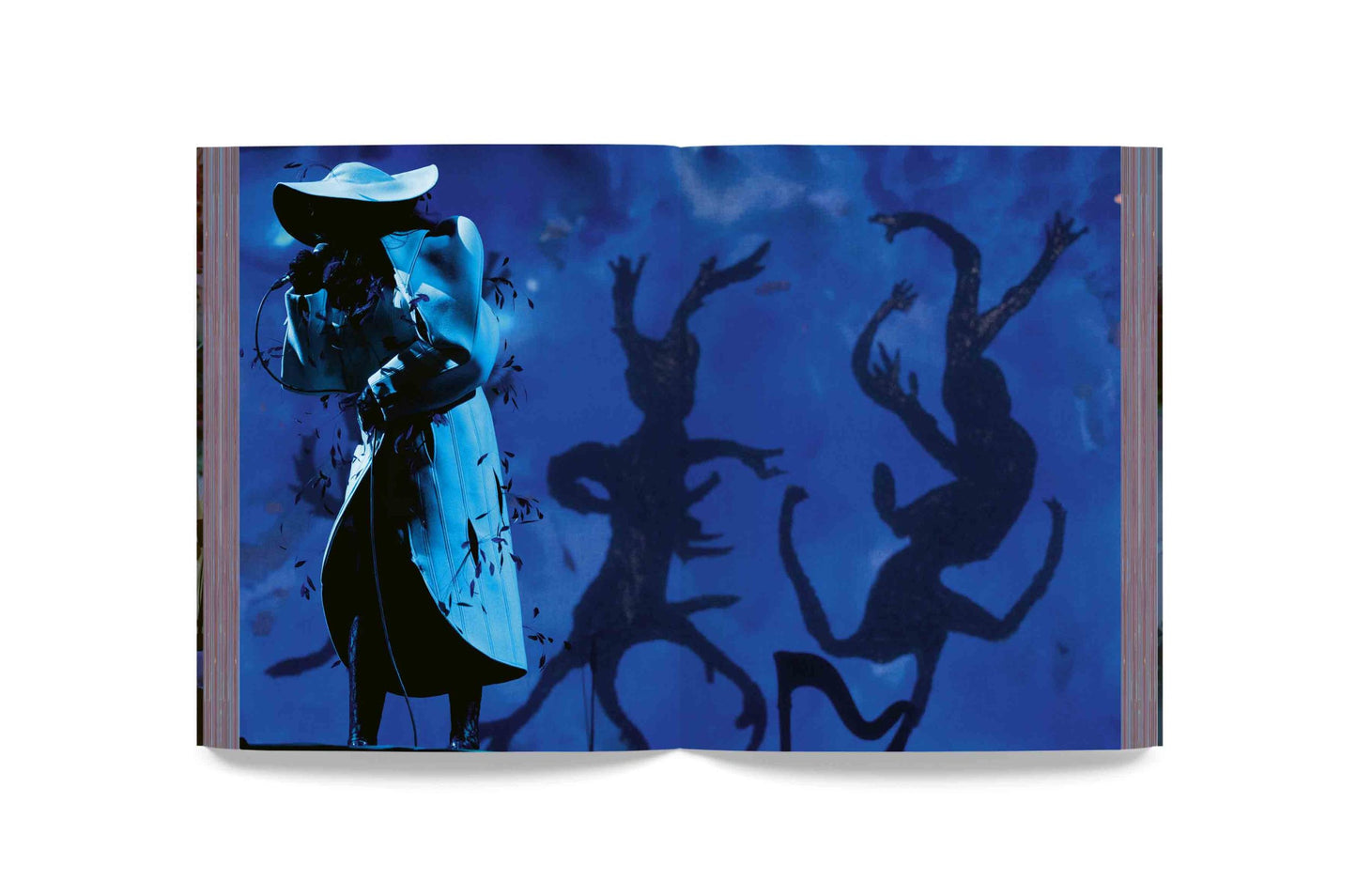 Björk - Cornucopia Book