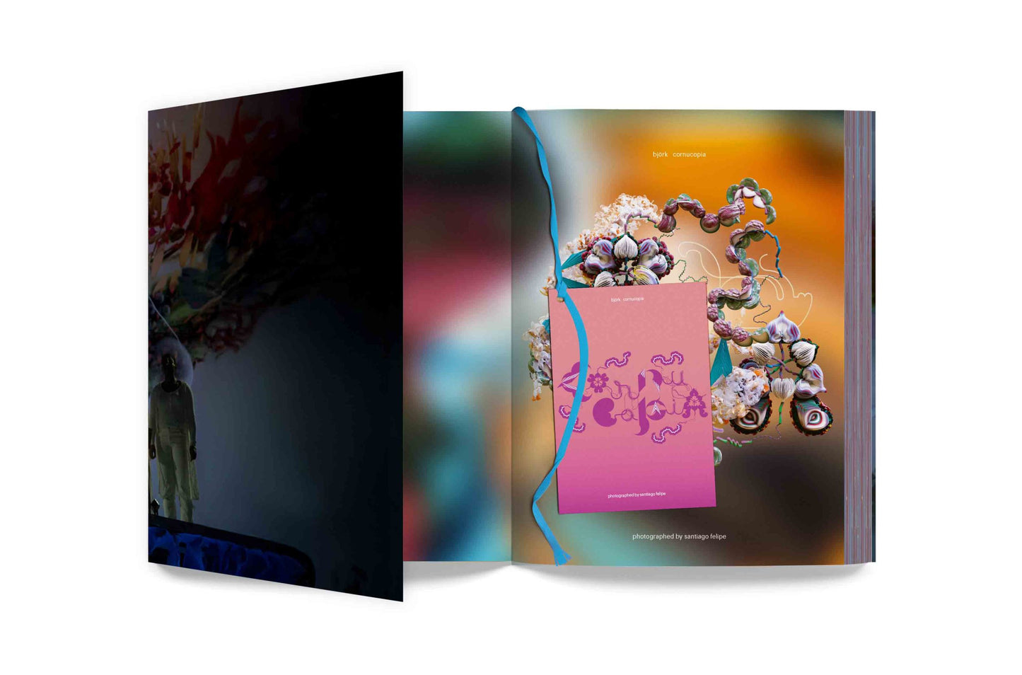 Björk - Cornucopia Book