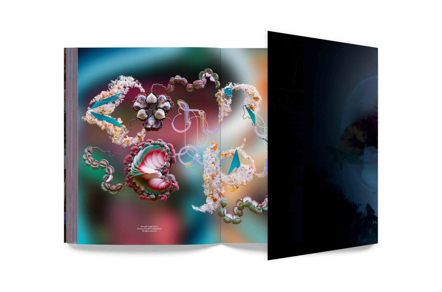 Björk - Cornucopia Book