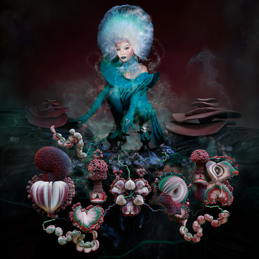 Björk - fossora