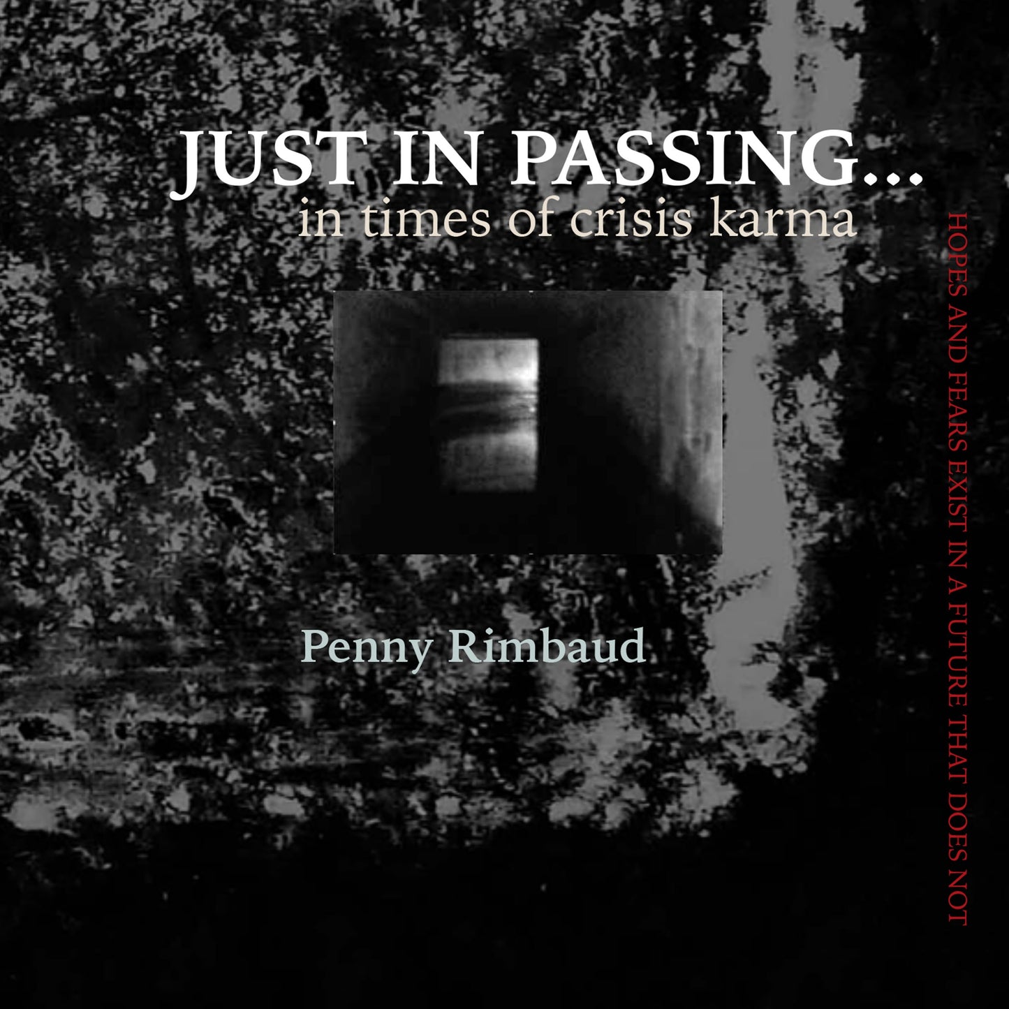 Penny Rimbaud - Just In Passing - Book