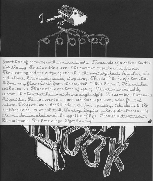 Björk - Conversation With Björk (Book)