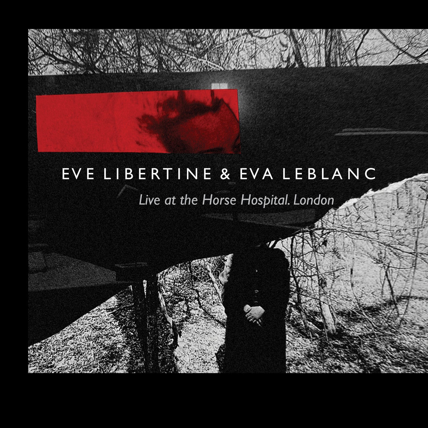 Eve Libertine & Eva Leblanc - Live at the Horse Hospital