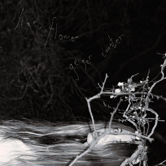 Liar, Flower - Geiger Counter (KatieJane Garside)
