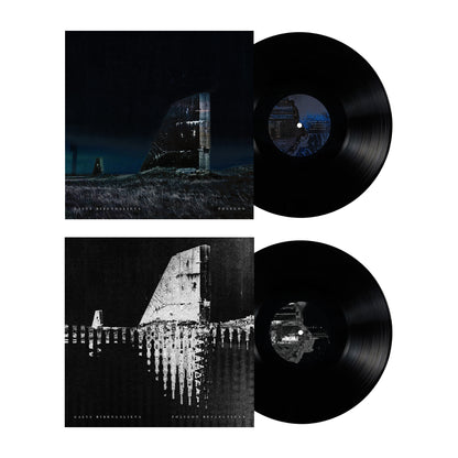 Polygon Vinyl Bundle