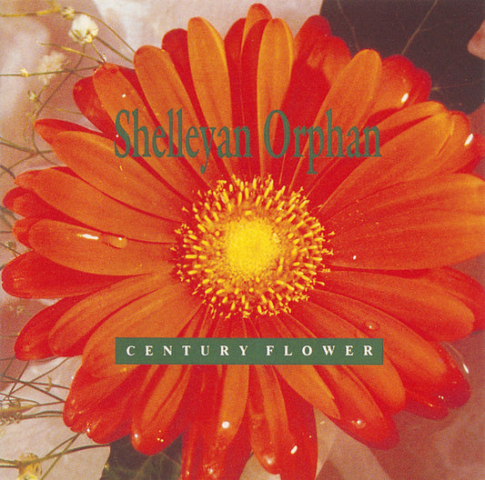 Shelleyan Orphan - Century Flower