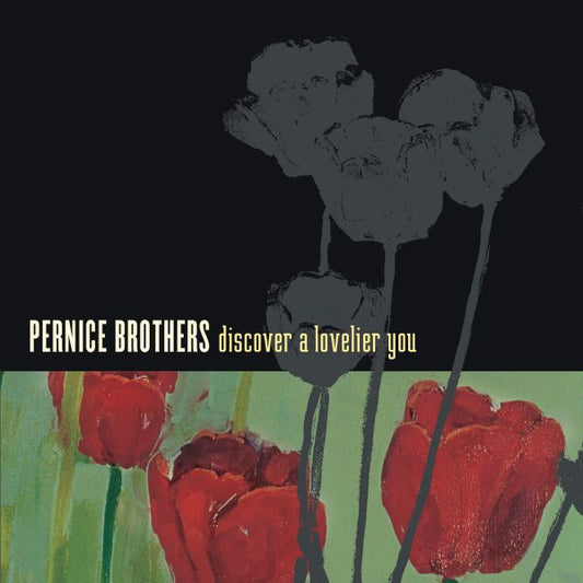 Pernice Brothers - Discover A Lovelier You