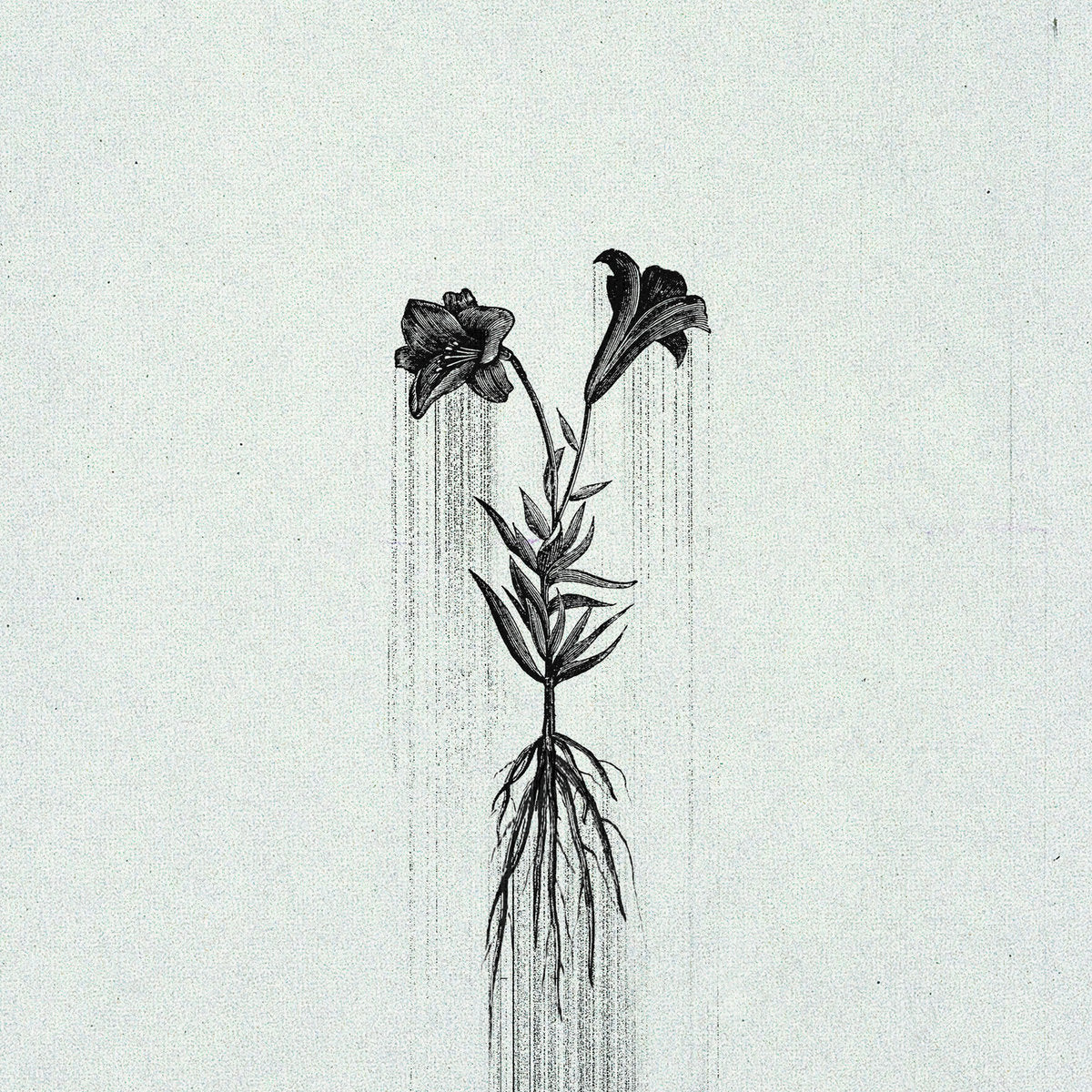 Penelope Trappes - Æternum