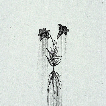 Penelope Trappes - Æternum
