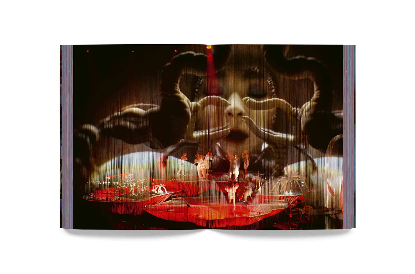 Björk - Cornucopia Book