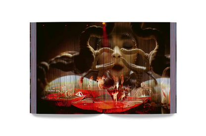 Björk - Cornucopia Book