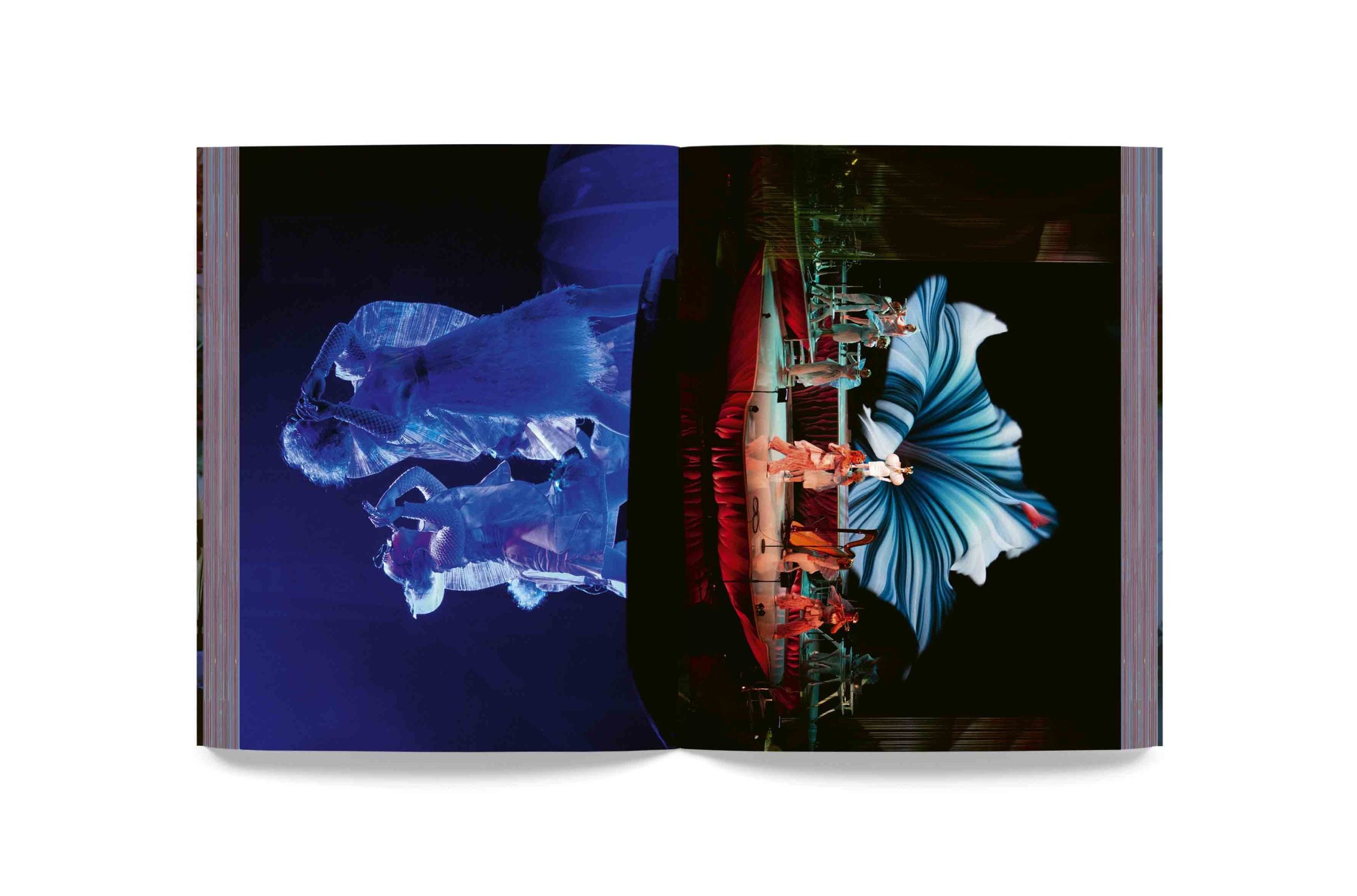 Björk - Cornucopia Book – OLI Records