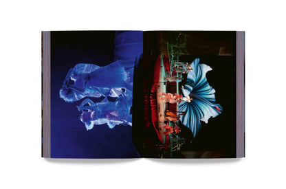 Björk - Cornucopia Book